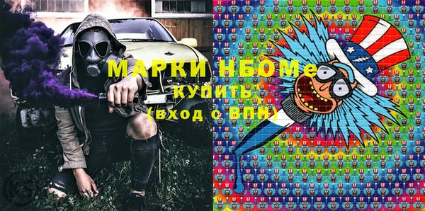 гашик Гусев