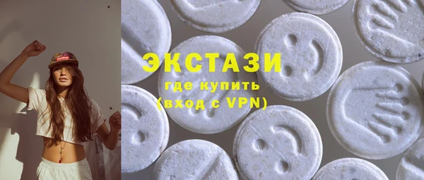 индика Гусиноозёрск
