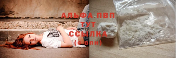 гашик Гусев