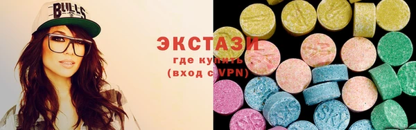 индика Гусиноозёрск