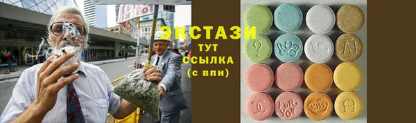 индика Гусиноозёрск