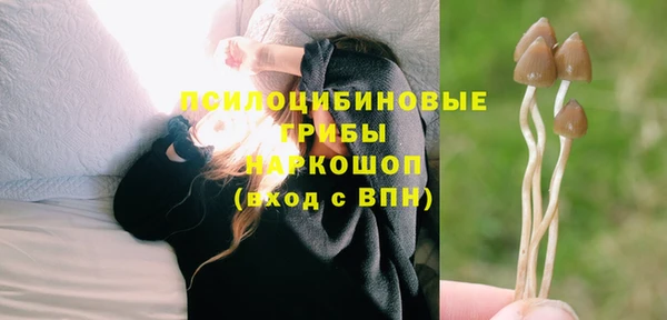 MESCALINE Гусь-Хрустальный