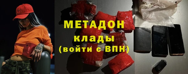 индика Гусиноозёрск