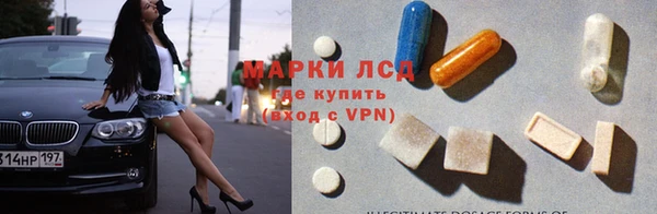индика Гусиноозёрск