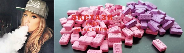 индика Гусиноозёрск