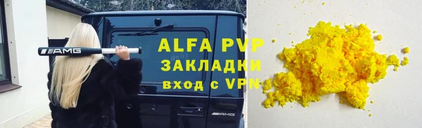 индика Гусиноозёрск