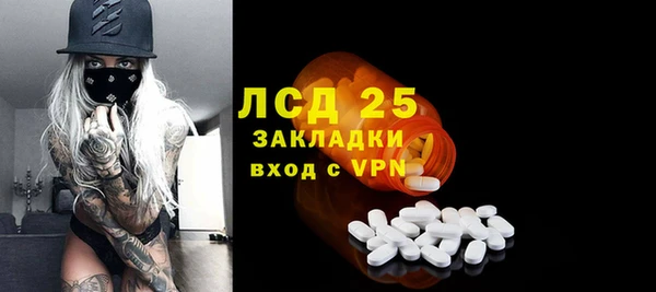 индика Гусиноозёрск