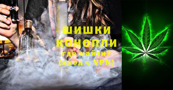 гашик Гусев