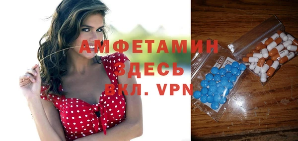 индика Гусиноозёрск