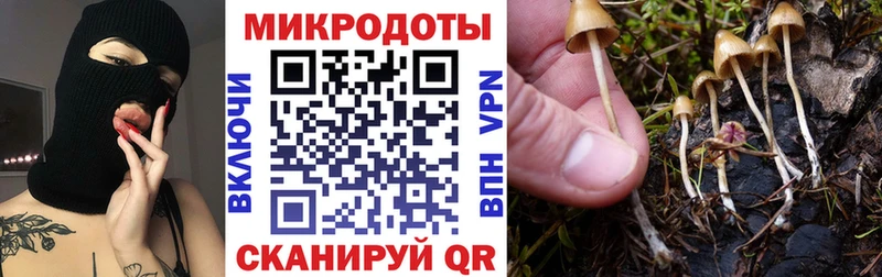 Галлюциногенные грибы Psilocybe  Купить  Городище 